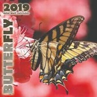 Abbildung von: Butterfly 2019 Mini Wall Calendar - Wall Publishing