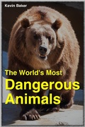 Cover: The World's Most Dangerous Animals - eBookIt.com
