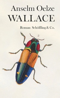 Abbildung von: Wallace - Schöffling