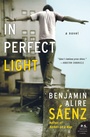 Cover: In Perfect Light - Collins