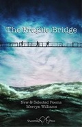 Cover: The Fragile Bridge - Shoestring Press
