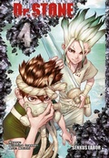 Cover: Dr. Stone 4 - Carlsen Manga