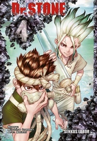 Enlarge image Cover: Dr. Stone 4 - Carlsen Manga
