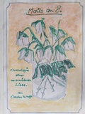 Cover: Mails an Z. - neobooks