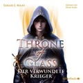 Cover: Throne of Glass 6: Der verwundete Krieger - Silberfisch