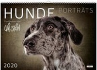 Abbildung von: Uli Stein Hunde Portraits 2020 - Lappan