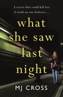Cover: What She Saw Last Night - Orion