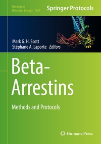 Abbildung von: Beta-Arrestins - Humana