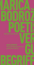 Cover: Poetische Vernunft im Zeitalter gusseiserner Begriffe - Matthes & Seitz Berlin