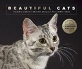 Cover: Beautiful Cats - Ivy Press