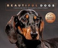 Enlarge image Cover: Beautiful Dogs - Ivy Press