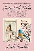 Cover: Just a Little Higher - Teach Services, Inc.