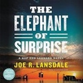 Cover: The Elephant of Surprise - Mulholland