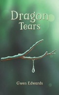 Cover: Dragon Tears - Austin Macauley Publishers LLC