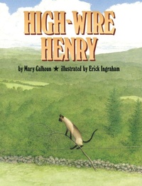 Enlarge image Cover: High-Wire Henry - ECHO POINT BOOKS & MEDIA