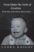 Cover: From Under the Veils of Creation - Balboa Press