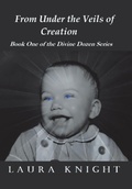 Cover: From Under the Veils of Creation - Balboa Press