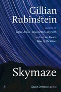 Cover: Skymaze - Ligature Pty Limited
