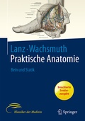 Cover: Bein und Statik - Springer
