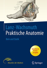 Enlarge image Cover: Bein und Statik - Springer