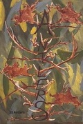 Cover: 32 Antlers - Isbn-Us.com
