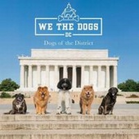 Abbildung von: We the Dogs DC: Dogs of the District - Mascot Books