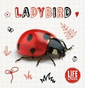 Cover: Ladybird - BookLife Publishing