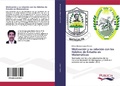 Bild: Motivacion y su relacion con los Habitos de Estudio en Matematicas - PUBLICIA