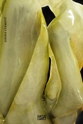 Cover: Louisa Clement - Hatje Cantz Verlag