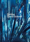 Cover: Splitter. David Schnell - E. A. Seemann Verlag