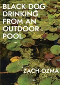 Cover: Black Dog Drinking from an Outdoor Pool - Sibling Rivalry Press, LLC