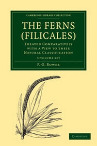 Enlarge image Cover: The Ferns (Filicales) 3 Volume Paperback Set: Volume SET - Cambridge University Press