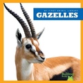 Cover: Gazelles - Bullfrog Books