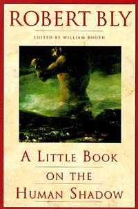 Abbildung von: A Little Book on the Human Shadow - HarperCollins,Australia