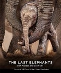 Cover: The Last Elephants - Hardie Grant Books