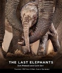Enlarge image Cover: The Last Elephants - Hardie Grant Books