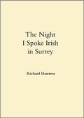 Cover: The Night I Spoke Irish in Surrey - Dempsey & Windle