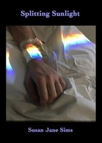 Enlarge image Cover: Splitting Sunlight - Dempsey & Windle