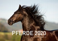 Abbildung von: Pferde Exklusivkalender 2020 (Limited Edition) - 360° medien