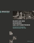 Cover: Bilder aus den Bergwerks- und H&uuml;ttenbetrieben - Mitteldeutscher Verlag