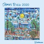 Cover: James Rizzi 2020 - Neumann Verlage GmbH & Co. KG