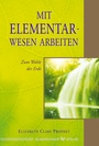 Cover: Mit Elementarwesen arbeiten - Silberschnur