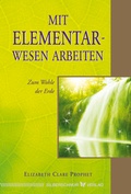 Cover: Mit Elementarwesen arbeiten - Silberschnur