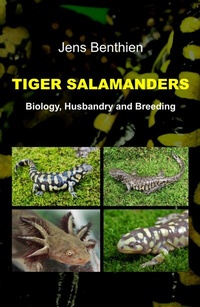 Abbildung von: Tiger Salamanders - tredition