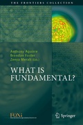 Cover: What is Fundamental? - Springer