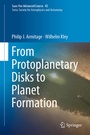 Cover: From Protoplanetary Disks to Planet Formation - Springer