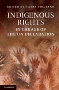 Cover: Indigenous Rights in the Age of the UN Declaration - Cambridge University Press