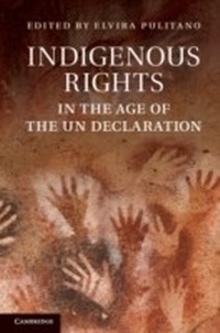 Enlarge image Cover: Indigenous Rights in the Age of the UN Declaration - Cambridge University Press