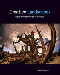 Abbildung von: Creative Landscapes - Wiley