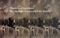 Cover: Theme and Variations - University of Chicago,David & Alfred Smart Museum,US